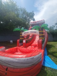 Website20photo203 1741970611 Wild Thing! 18ft Waterslide