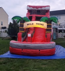 Website20photo204 1741970610 Wild Thing! 18ft Waterslide